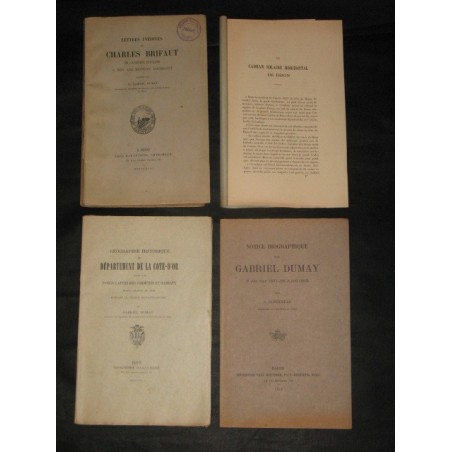 Géographie historique département de la Côte-d'Or suivie de la nomenclature des communes et hameaux…