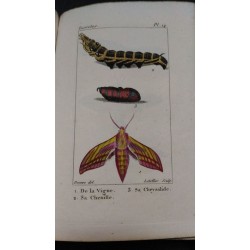 Atlas des insectes, composé de 110 planches, représentant la plupart des insectes décrits dans le manuel d'histoire naturelle…