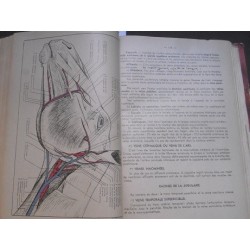 Abrégé d' angeiologie du cheval - Abrégé de névrologie du cheval